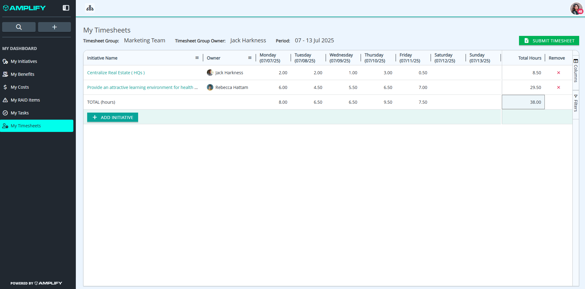 Submit Timesheet - Individual Timesheet.png